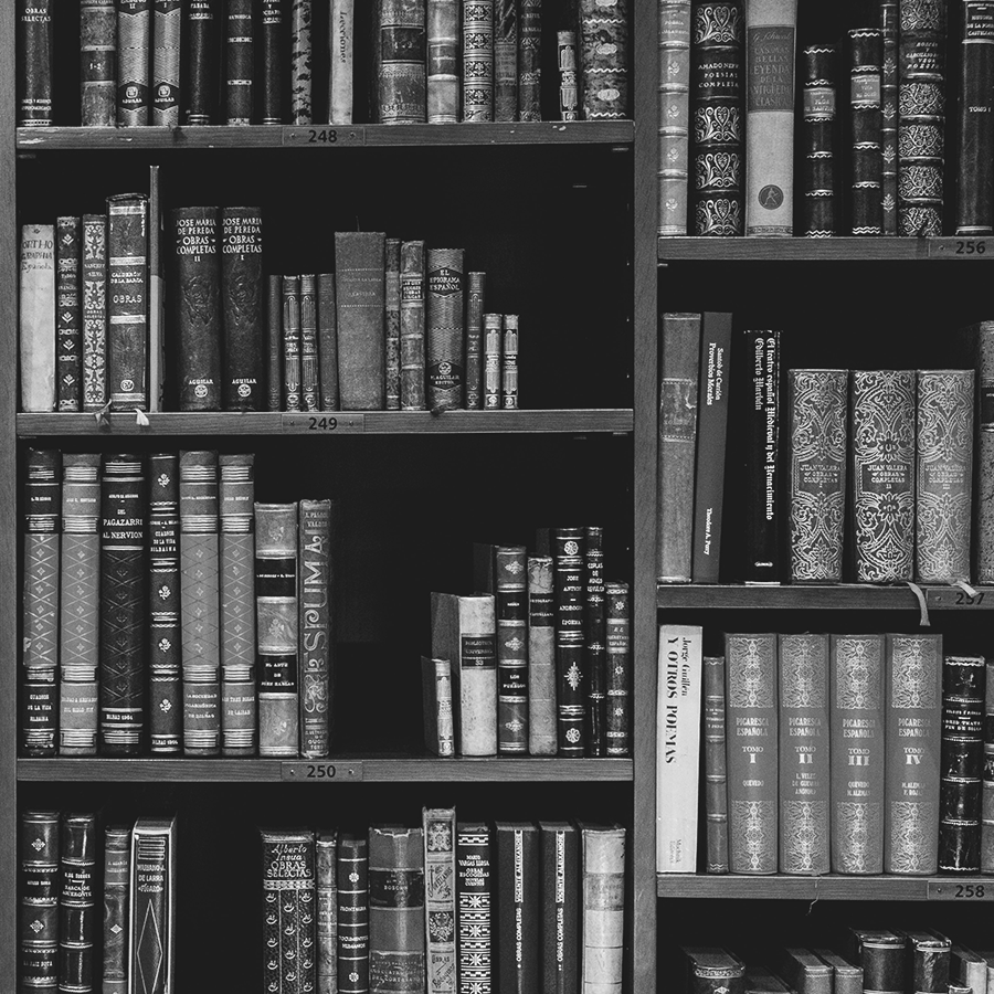 Scaffali di una biblioteca giuridica